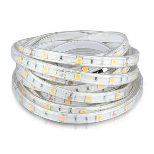 LED Trak SMD5050 30 LEDic IP65 6000K 4,8W/m 5m Rola