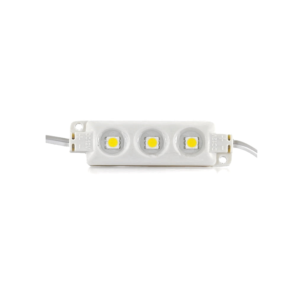 LED Modul SMD5050 RGB IP67 12V